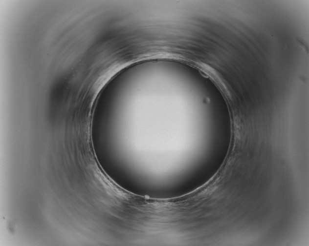 X0000101181244200807071237