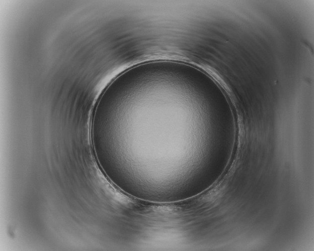 X0000101181246200807071237