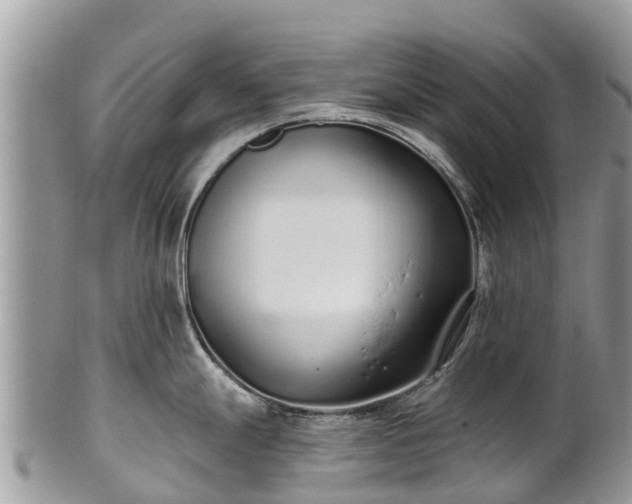 X0000101181247200807071237