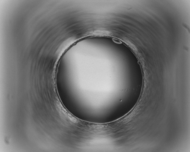 X0000101181248200807071237
