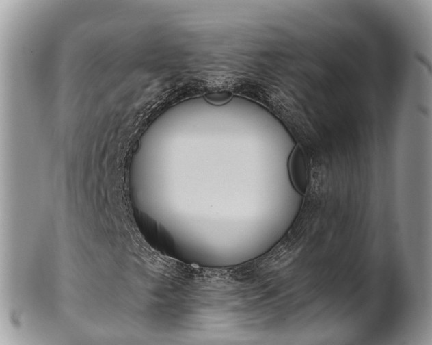 X0000101181249200807071237