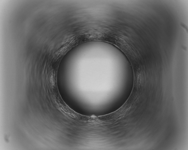 X0000101181250200807071237