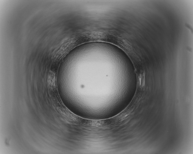 X0000101181251200807071237