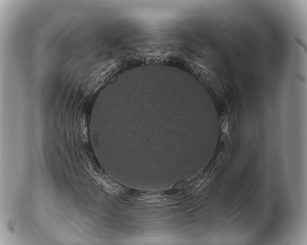 X0000101181252200807071237