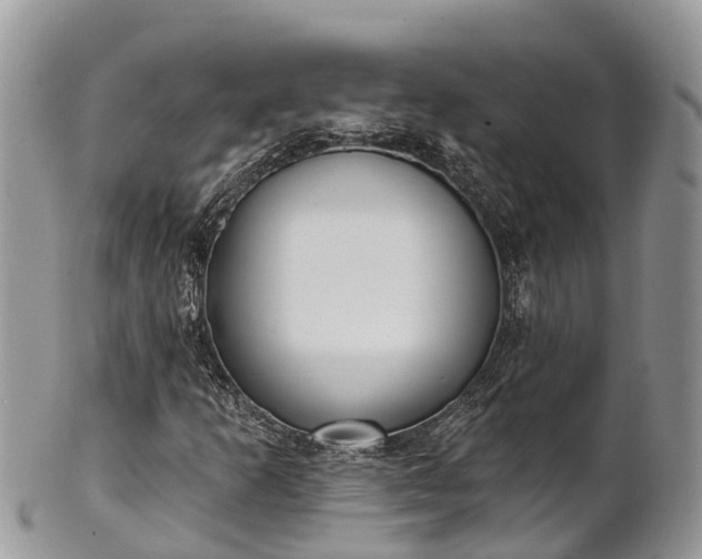 X0000101181253200807071237