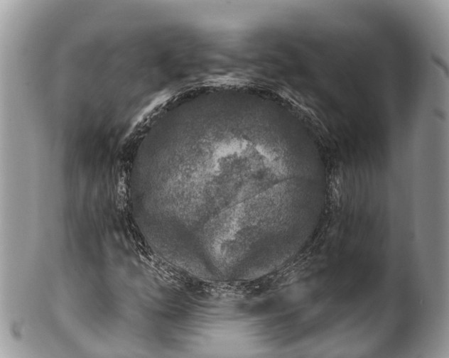 X0000101181254200807071237
