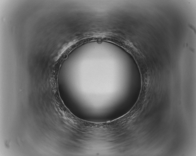X0000101181256200807071237