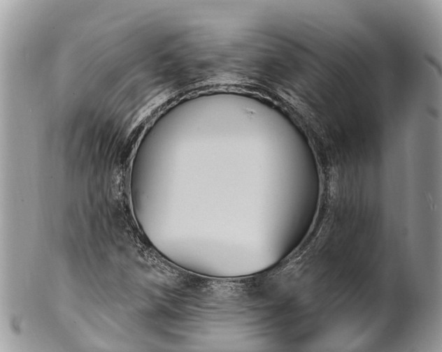 X0000101181258200807071237