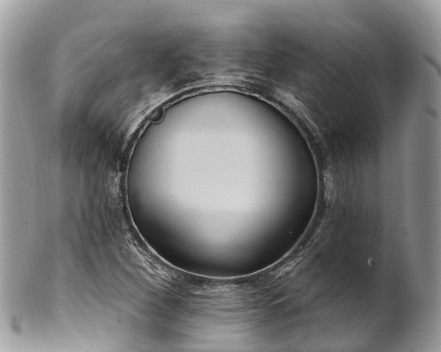 X0000101181260200807071237
