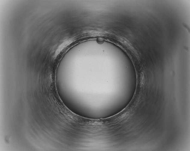 X0000101181261200807071237
