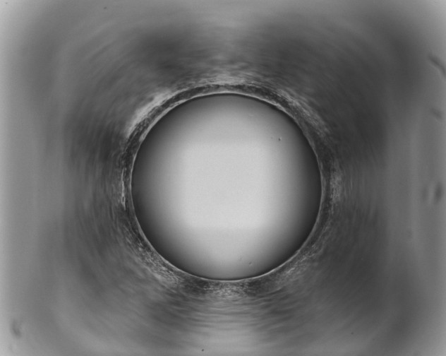X0000101181262200807071237