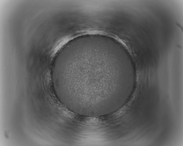 X0000101181263200807071237