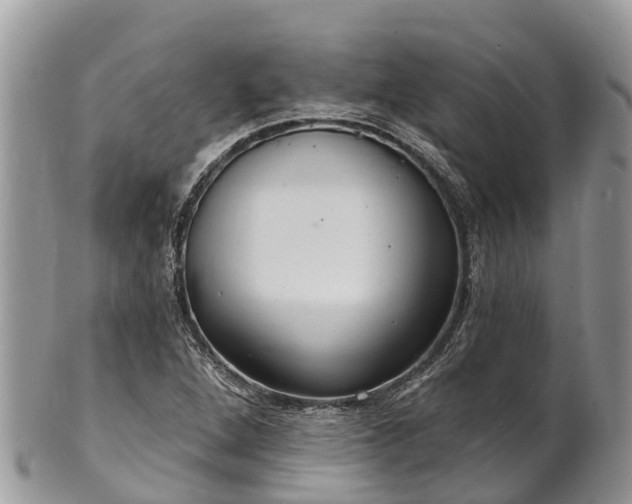 X0000101181264200807071237