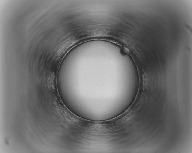 X0000101181265200807071237