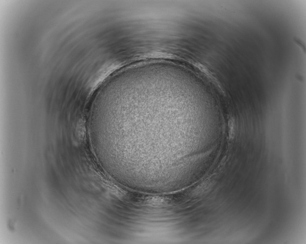X0000101181266200807071237