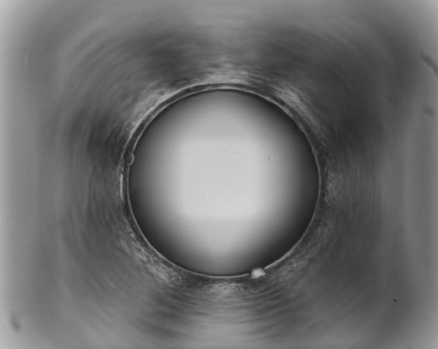 X0000101181268200807071237