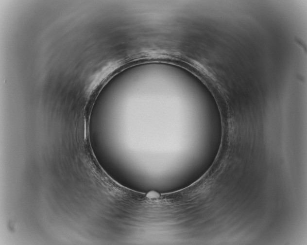 X0000101181269200807071237