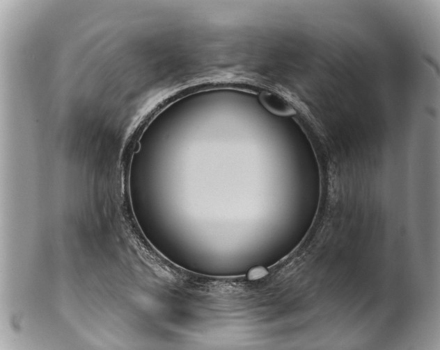 X0000101181270200807071237