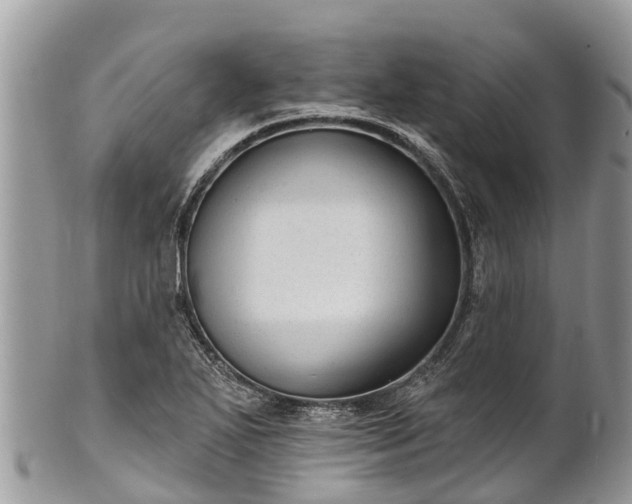 X0000101181271200807071237