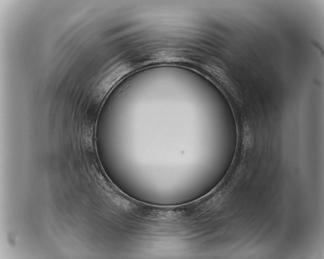 X0000101181273200807071236