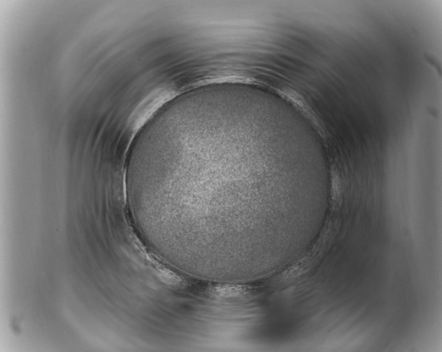 X0000101181274200807071236