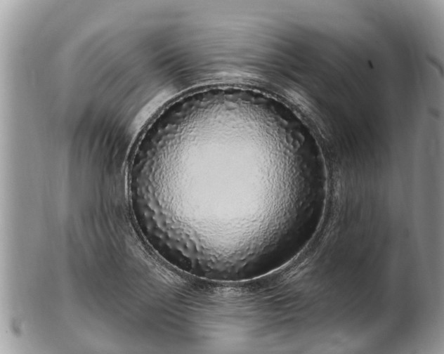X0000101181275200807071236