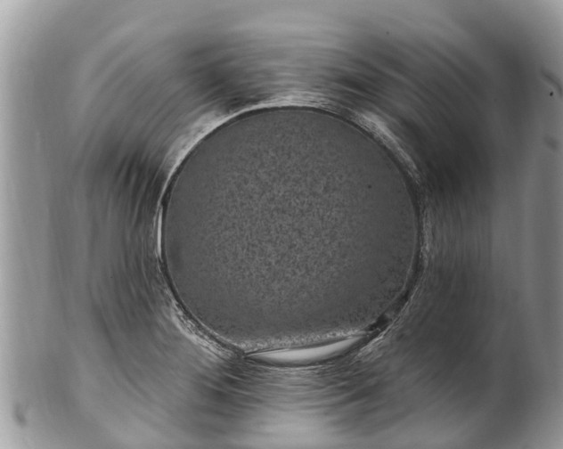 X0000101181276200807071236