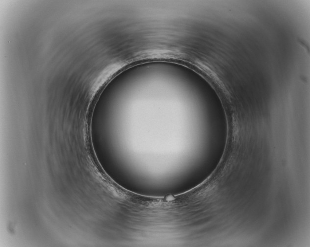 X0000101181277200807071236