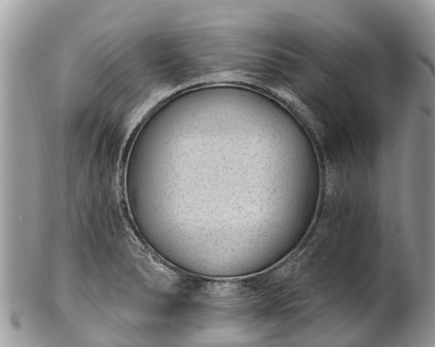 X0000101181278200807071236
