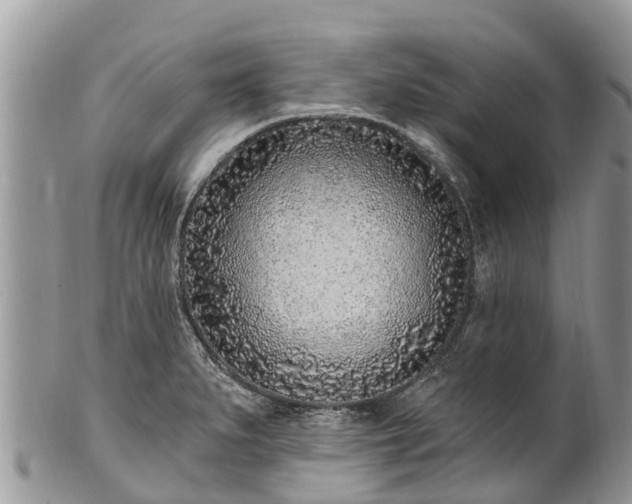 X0000101181279200807071236
