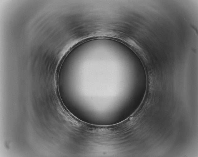 X0000101181280200807071236