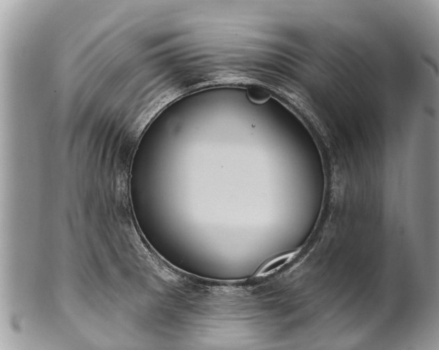 X0000101181281200807071236