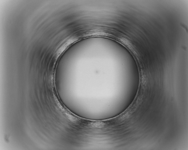 X0000101181282200807071236