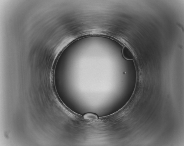 X0000101181285200807071236