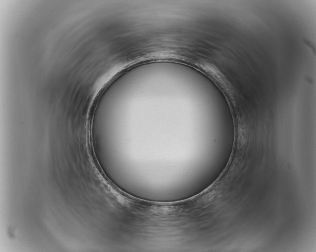 X0000101181286200807071236