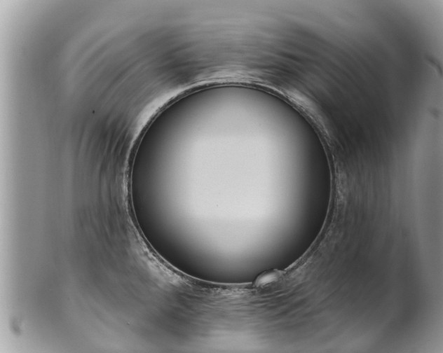 X0000101181288200807071236
