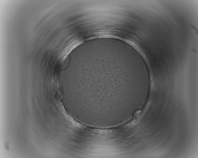 X0000101181289200807071236