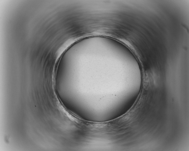 X0000101181294200807071236