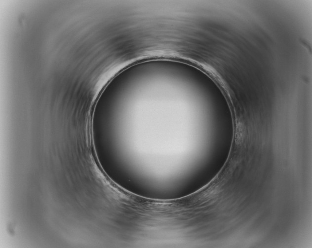 X0000101181295200807071236