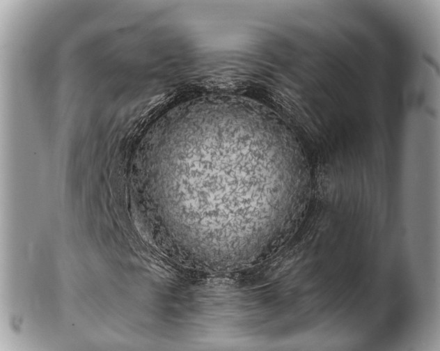 X0000101181297200807071235