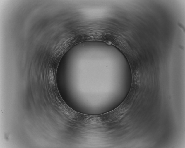 X0000101181298200807071235