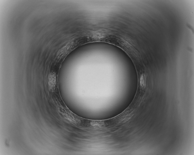 X0000101181299200807071235