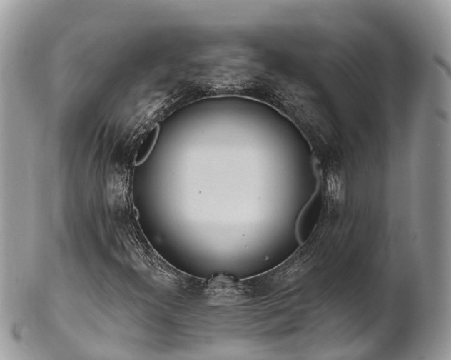 X0000101181300200807071235