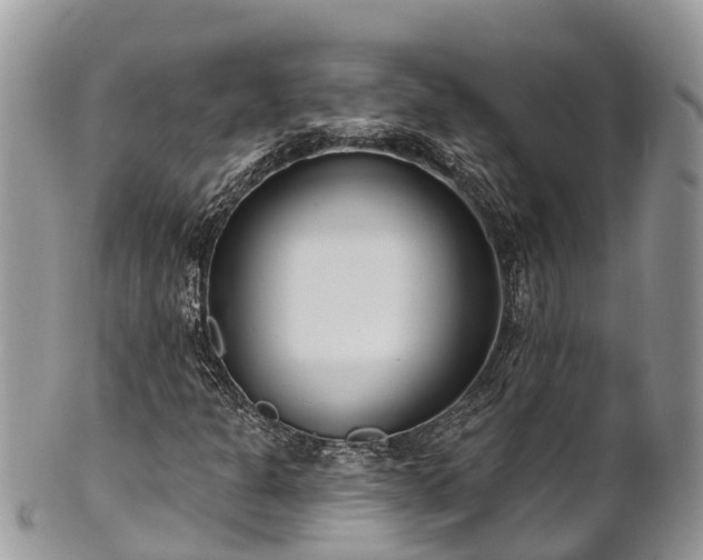 X0000101181301200807071235