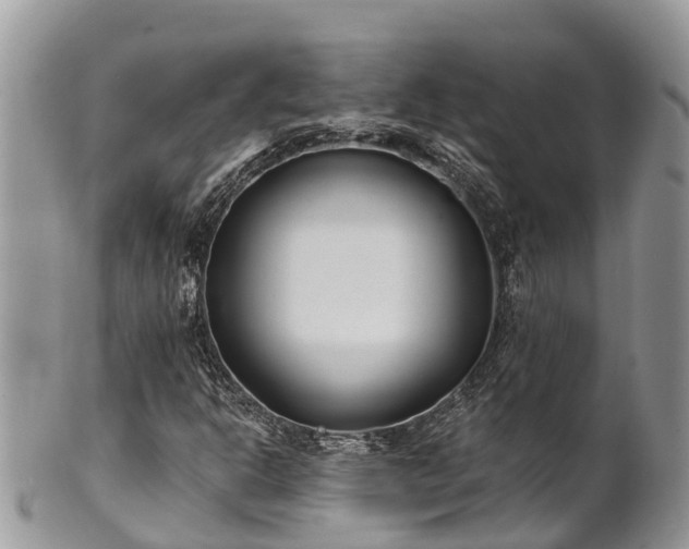 X0000101181302200807071235