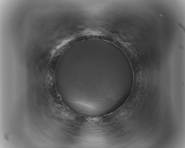 X0000101181303200807071235