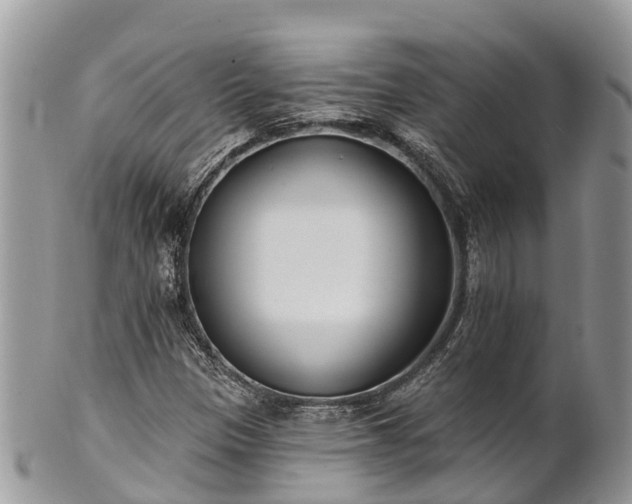 X0000101181305200807071235