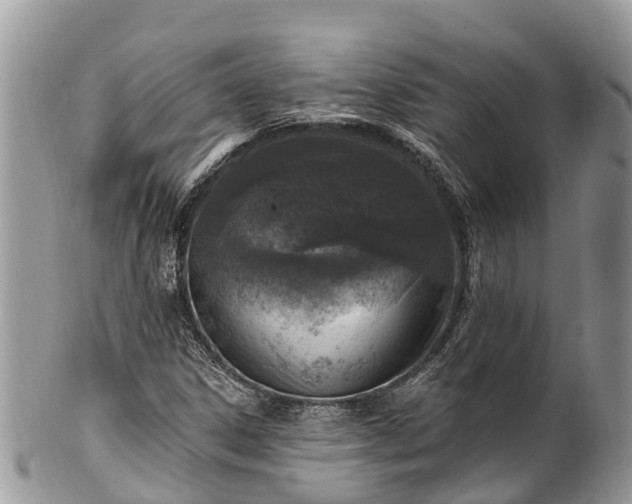 X0000101181306200807071235