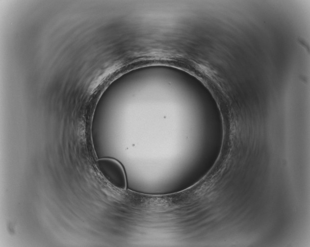 X0000101181307200807071235