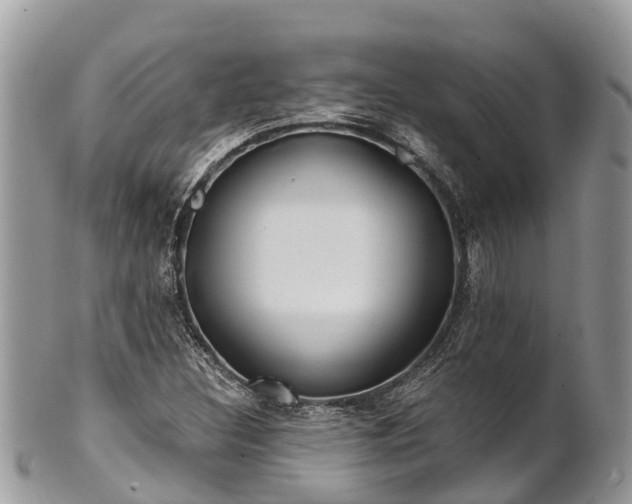X0000101181308200807071236